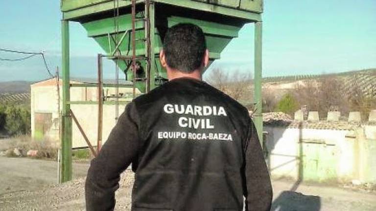 La Guardia Civil investiga a siete personas como presuntas autoras de hurtos de aceituna La Guardia Civil investiga a siete personas como presuntas autoras de hurtos de aceituna