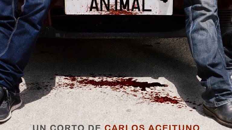 El acento jiennense recorre el mundo gracias al cine local El acento jiennense recorre el mundo gracias al cine local