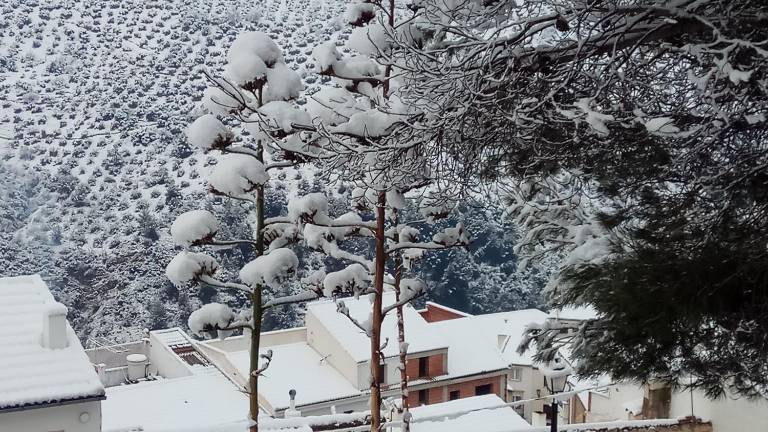 Todas las imágenes de la nieve en Jaén Todas las imágenes de la nieve en Jaén