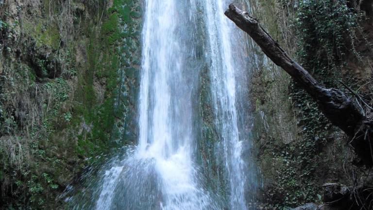 La alegría “brota” en cada rincón del paraíso La alegría “brota” en cada rincón del paraíso
