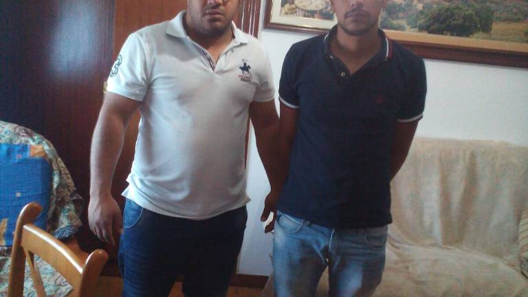 Muere atropellada en Huelma y el conductor se fuga del lugar Muere atropellada en Huelma y el conductor se fuga del lugar