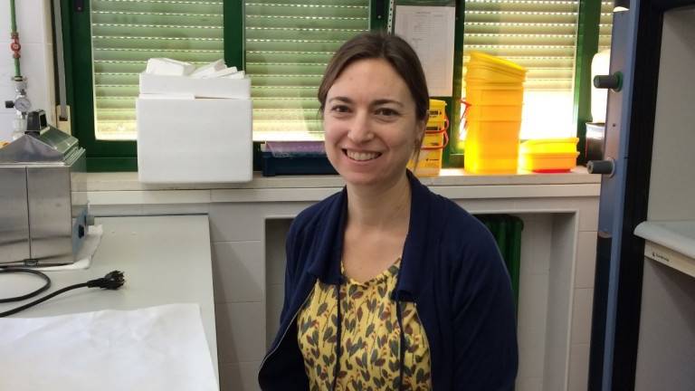 “Trabajar en el área de Agricultura de EE UU ha sido un sueño cumplido” “Trabajar en el área de Agricultura de EE UU ha sido un sueño cumplido”