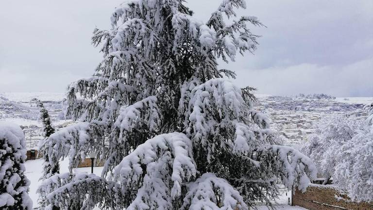 Todas las imágenes de la nieve en Jaén