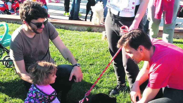 Más de 150 perros buscan una “segunda oportunidad” Más de 150 perros buscan una “segunda oportunidad”