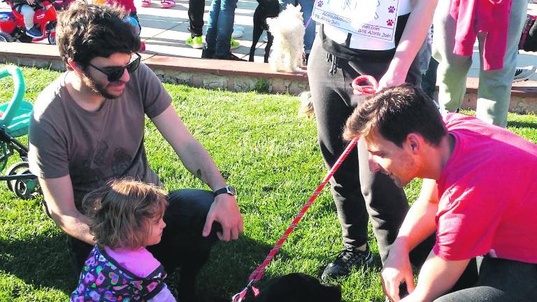 Más de 150 perros buscan una “segunda oportunidad”