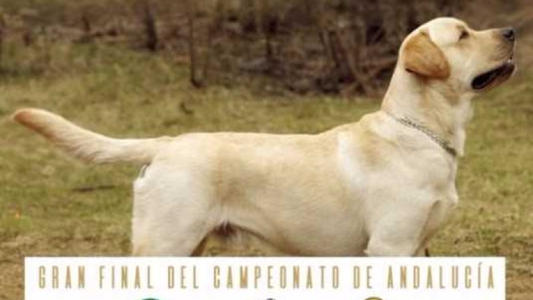 Citas caninas en Jaén para el fin de semana
