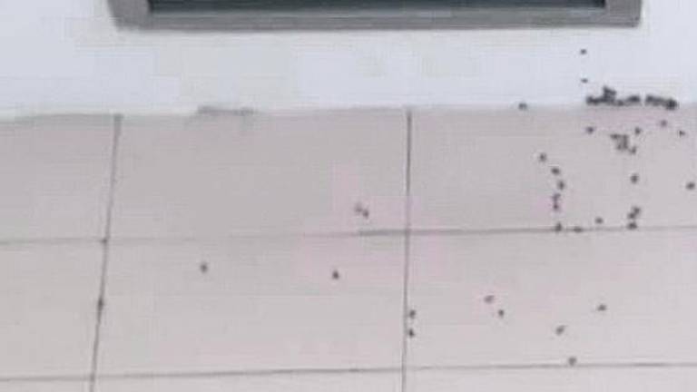 Una familia denuncia la falta de aire acondicionado Una familia denuncia la falta de aire acondicionado