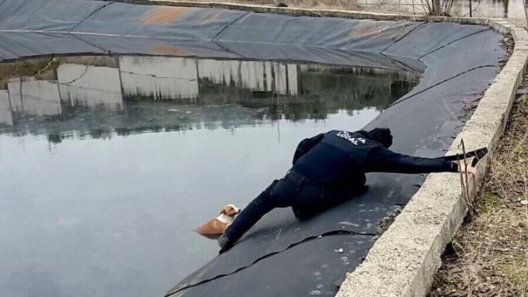 La policía de Mancha Real salva a un perro de morir ahogado La policía de Mancha Real salva a un perro de morir ahogado
