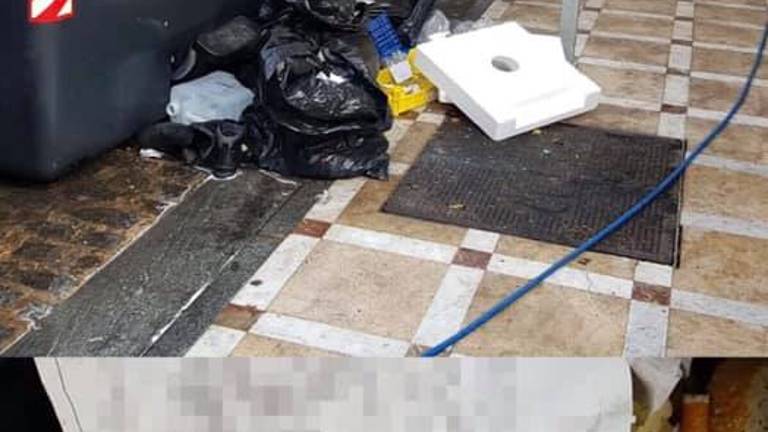 La Policía investiga la basura para multar al que la deje en la calle