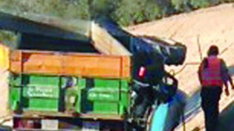 Un hombre herido en un olivar de Quesada Un hombre herido en un olivar de Quesada