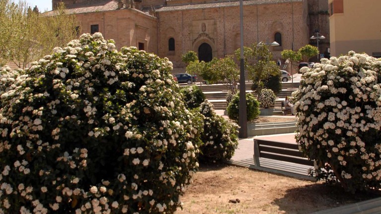 La Junta licita las obras para la rehabilitación de la iglesia de Santa María en Linares