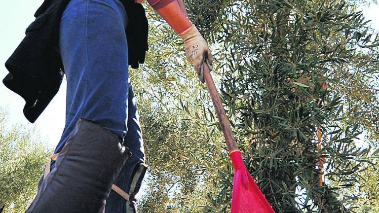 Una mujer percibe al año casi 3.900 euros menos que un hombre Una mujer percibe al año casi 3.900 euros menos que un hombre