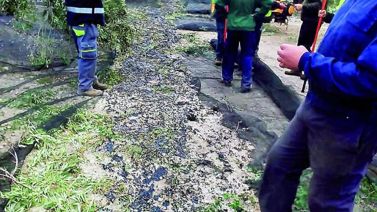 Quema de mantones y pequeños hurtos de aceituna en los olivares