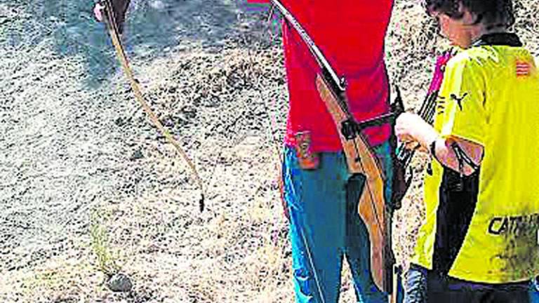 Flechas con precisión a la diana Flechas con precisión a la diana