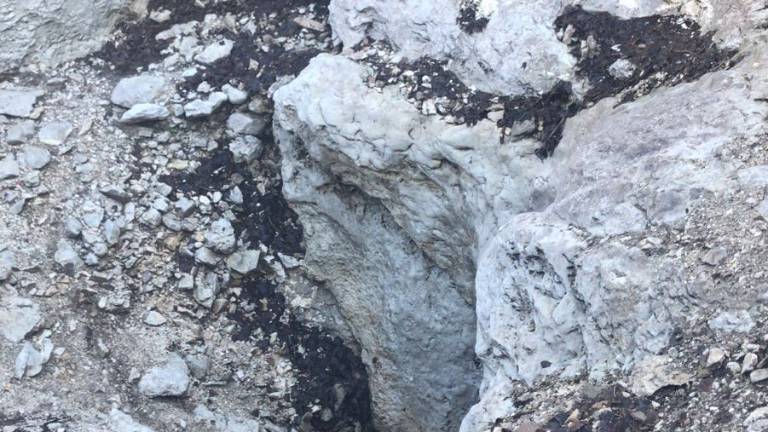La alegría “brota” en cada rincón del paraíso La alegría “brota” en cada rincón del paraíso