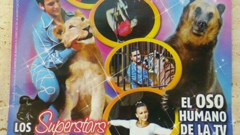 Pacma exige la prohibición del circo con animales