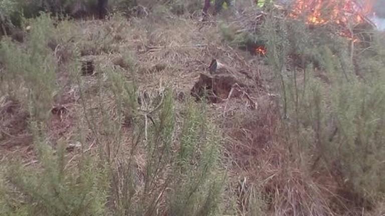 La quema de restos de poda da puestos de trabajo en Siles