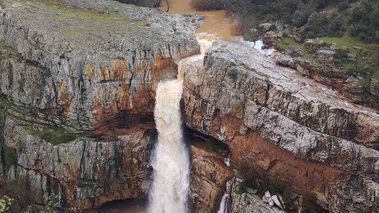 La alegría “brota” en cada rincón del paraíso La alegría “brota” en cada rincón del paraíso