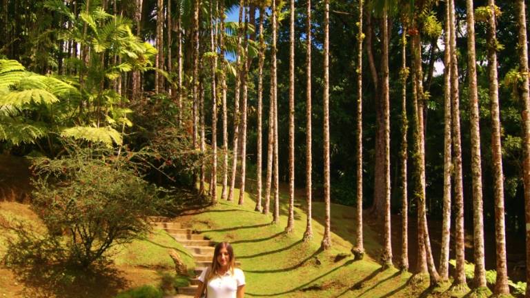 Viajar, una pasión sin límites Viajar, una pasión sin límites