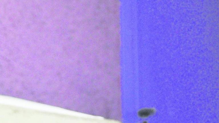 Adiós con duras críticas Adiós con duras críticas