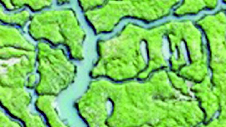 Isla Mayor Isla Mayor