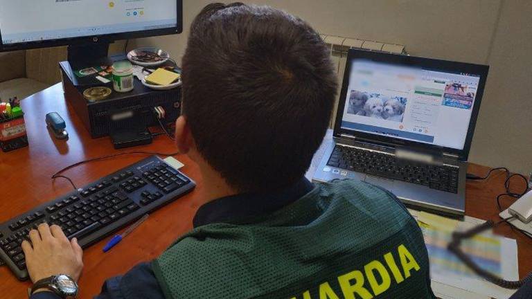 Tres jiennenses estafados y, a la vez, acusados de fraude Tres jiennenses estafados y, a la vez, acusados de fraude