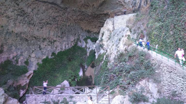 La alegría “brota” en cada rincón del paraíso La alegría “brota” en cada rincón del paraíso