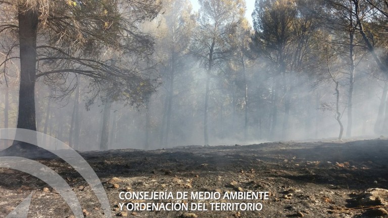 El Infoca da por extinguido el incendio forestal en Siles