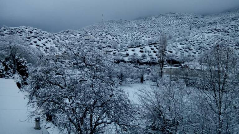 Todas las imágenes de la nieve en Jaén Todas las imágenes de la nieve en Jaén