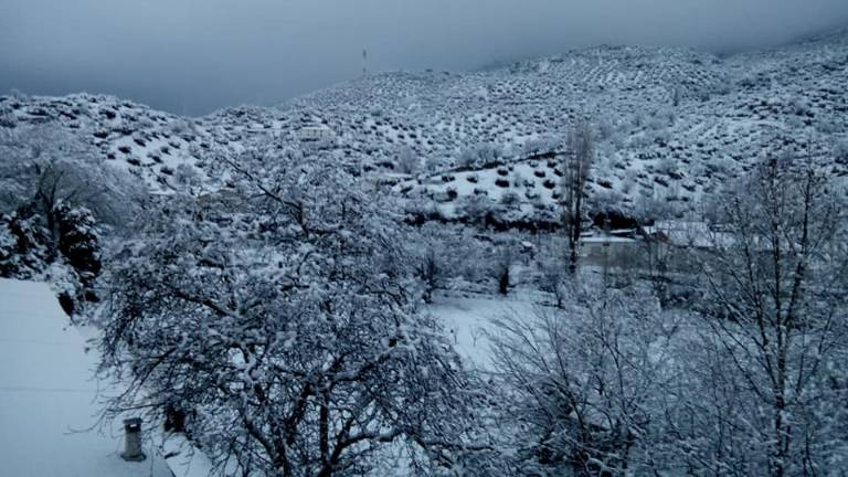 Todas las imágenes de la nieve en Jaén