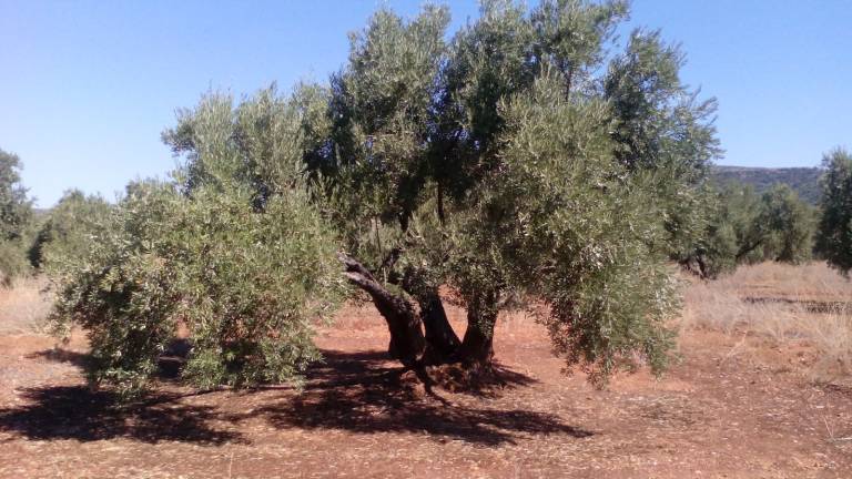 El campo cierra puertas