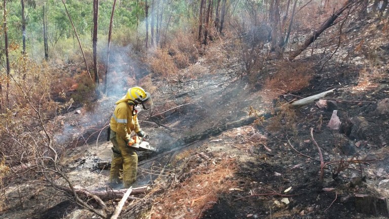 El Infoca despliega a casi 830 profesionales para luchar contra el fuego en verano