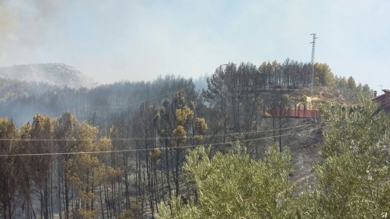 El Infoca da por controlado el incendio forestal en Los Villares
