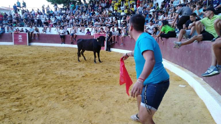 Raza en el corazón de Segura