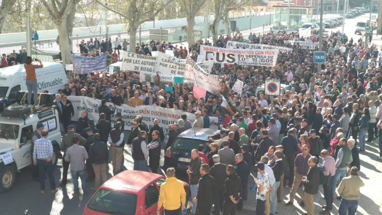 Los regantes piden agua para el olivar de forma urgente