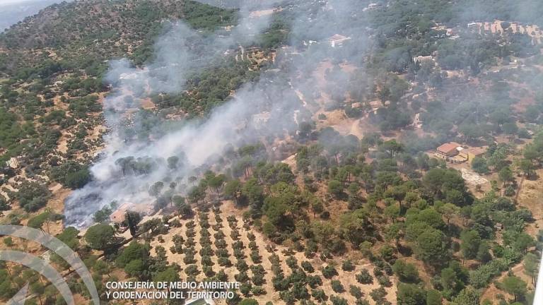 Incendio en el paraje Huerta de la Escoba Incendio en el paraje Huerta de la Escoba