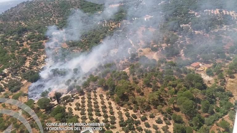 Incendio en el paraje Huerta de la Escoba