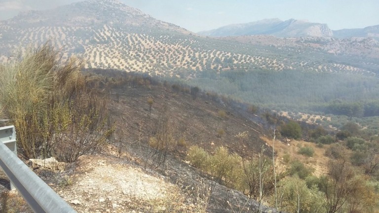 Infoca da por extinguido el incendio forestal de Los Villares