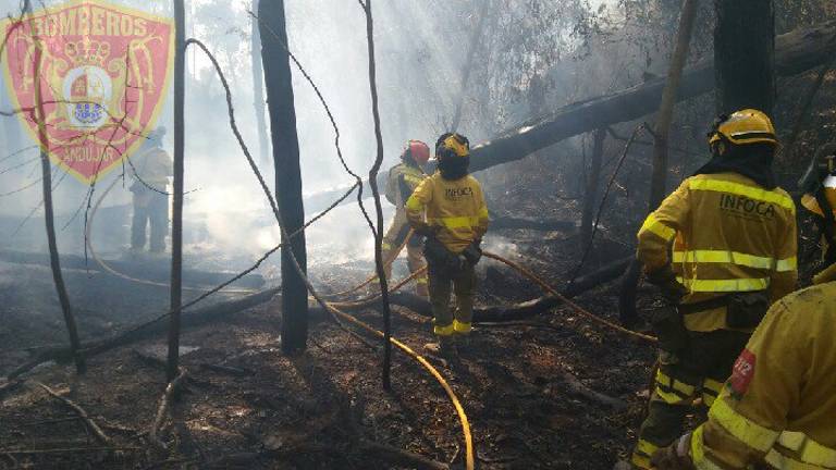 Segundo incendio forestal en Marmolejo en solo tres días Segundo incendio forestal en Marmolejo en solo tres días