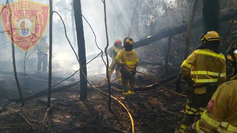 Segundo incendio forestal en Marmolejo en solo tres días