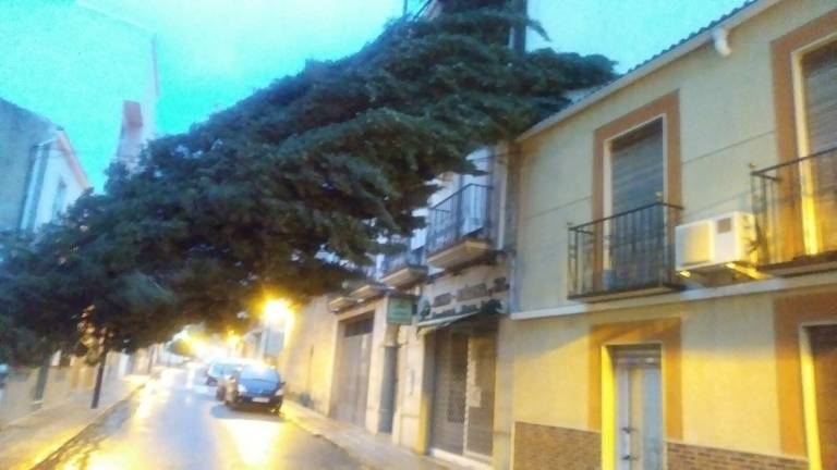 “Bruno” deja huella a su paso por la ciudad “Bruno” deja huella a su paso por la ciudad