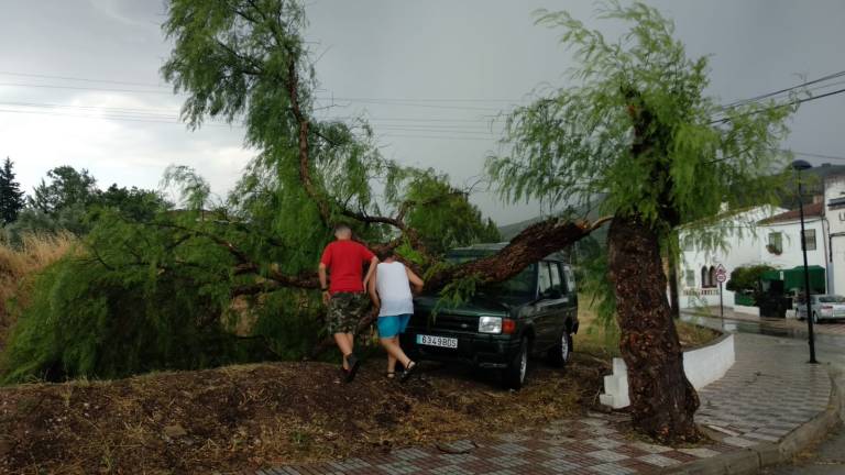 Momentos de terror por el fuerte temporal en Mogón