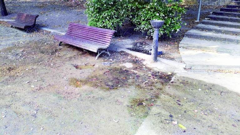 Vecinos critican la escasez de mantenimiento en El Tomillo Vecinos critican la escasez de mantenimiento en El Tomillo
