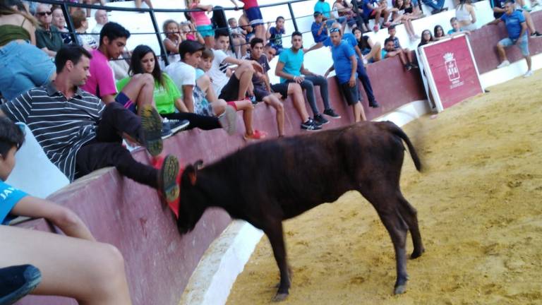 Raza en el corazón de Segura