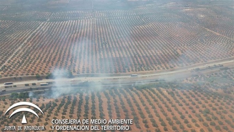 Cifran en menos de media hectárea la superficie afectada por el incendio en Carboneros