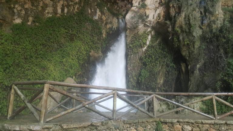 La alegría “brota” en cada rincón del paraíso La alegría “brota” en cada rincón del paraíso