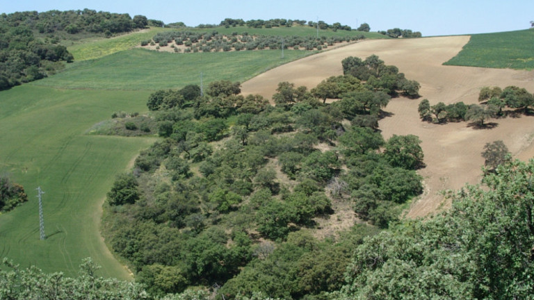 Andalucía Televisión visita el paisaje del olivar jiennense