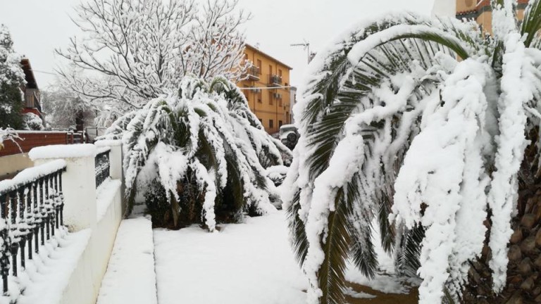 Segura, una de las comarcas más afectadas por la nieve