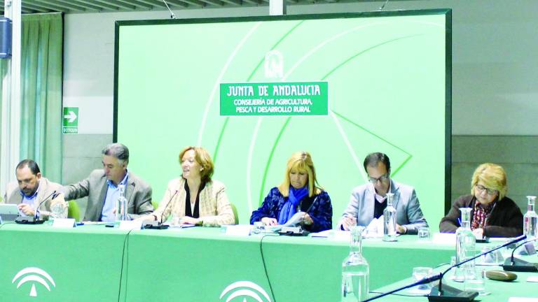 El Consejo del Olivar marcará el reparto del dinero de la PAC El Consejo del Olivar marcará el reparto del dinero de la PAC