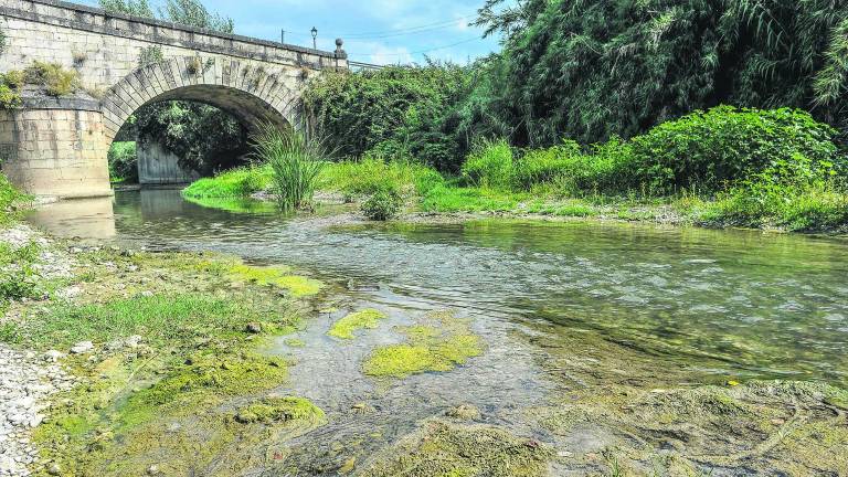 Los ríos bajan con poca agua Los ríos bajan con poca agua